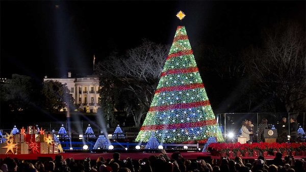 Holiday Lights