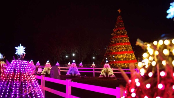 Holiday Lights animation